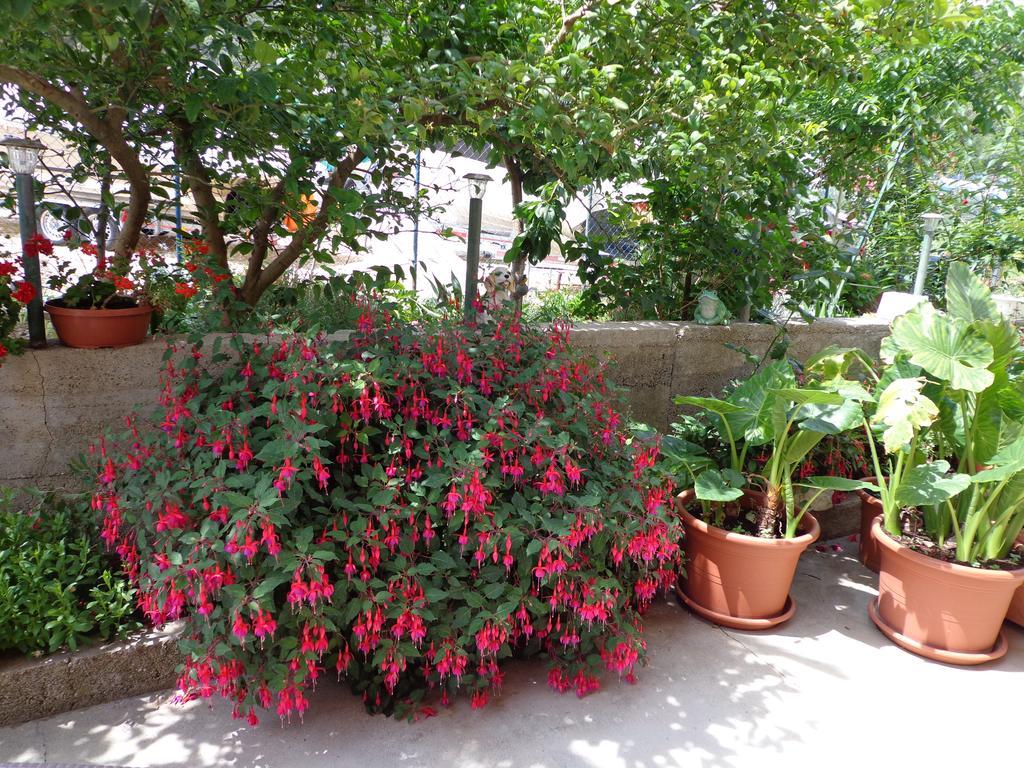 Apartment Nada Mundanije
